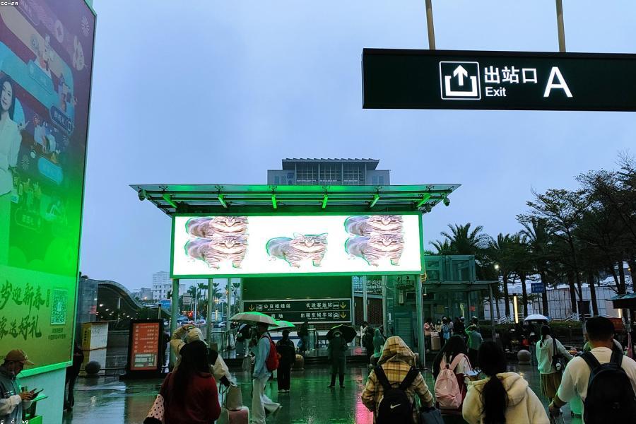 海口秋季旅行攻略|最佳时间+路线 图片3